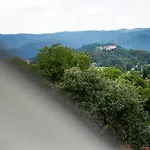 Apartman Berc