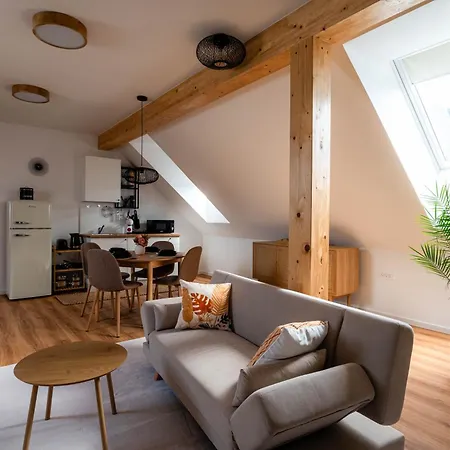 شقة Apartment & Studio Berc بليد