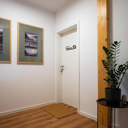 Apartment & Studio Berc * Bled